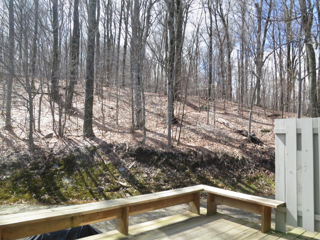 38 Birch Hill Road, Unit 7 Winhall, VT 05340 - Photo 18 of 24