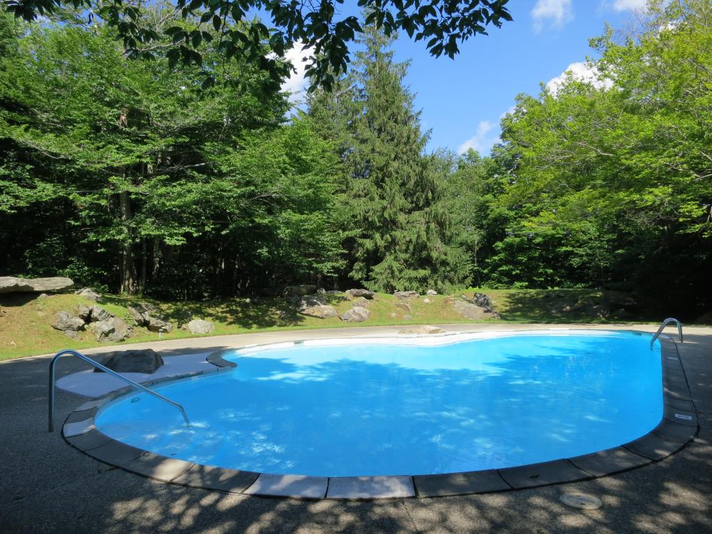 38 Birch Hill Road, Unit 7 Winhall, VT 05340 - Photo 19 of 24