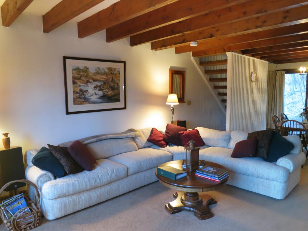 38 Birch Hill Road, Unit 7 Winhall, VT 05340 - Photo 3 of 24