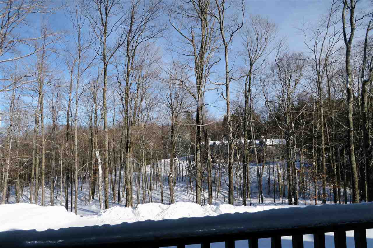 38 Birch Hill Road, Unit 7 Winhall, VT 05340 - Photo 23 of 24
