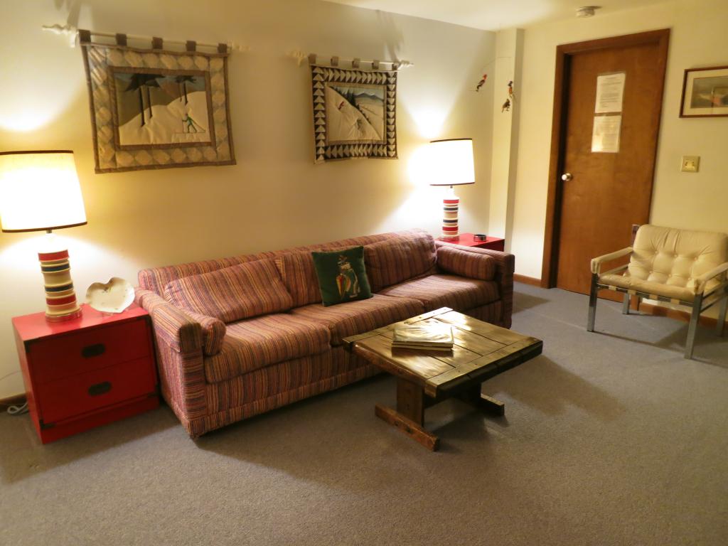 38 Birch Hill Road, Unit 7 Winhall, VT 05340 - Photo 8 of 24