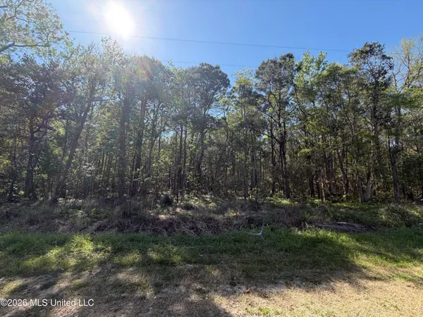 $9,900 | Apple St Street, Ocean Springs, MS 39564
