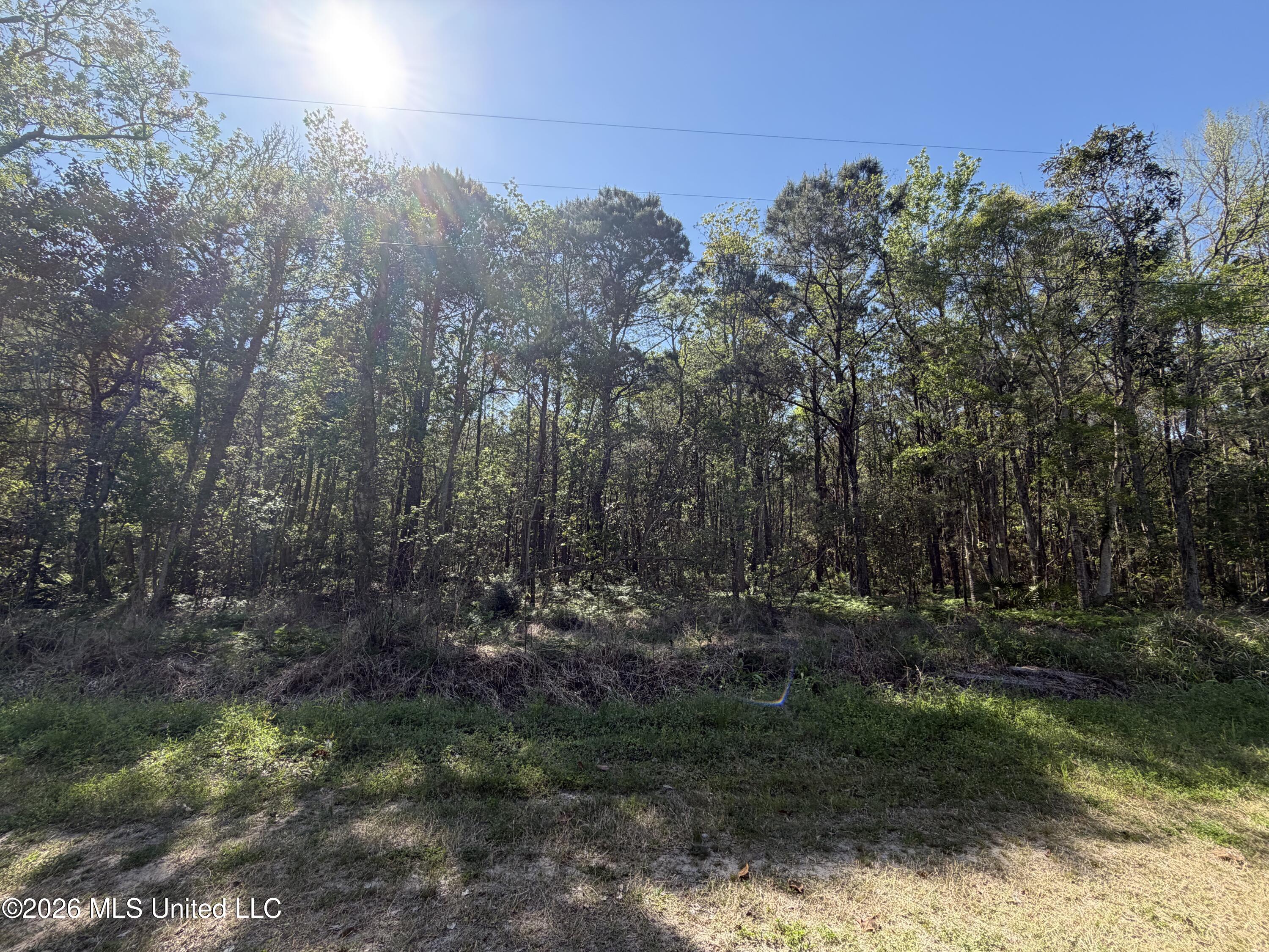 Vacant lot ready for your dream home!