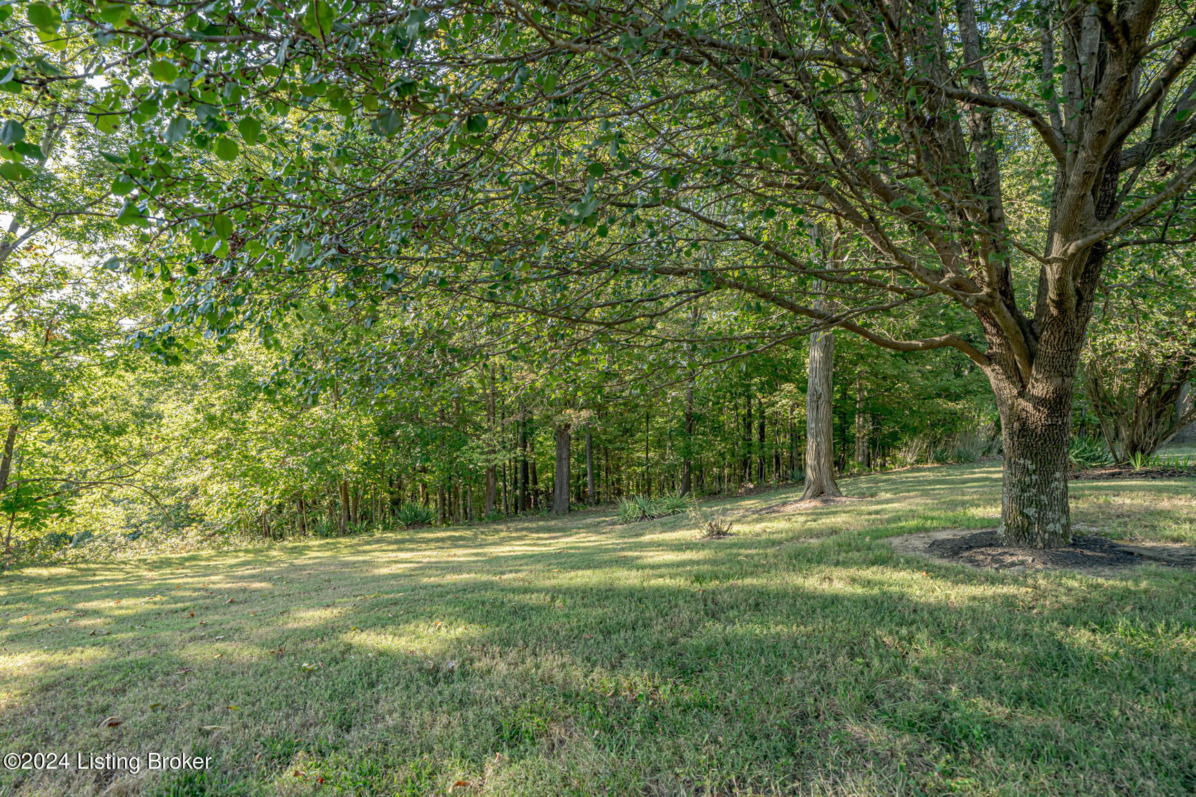 1102 Clay Burgin Road Lawrenceburg, KY 40342 - Photo 15 of 97 DSC08077