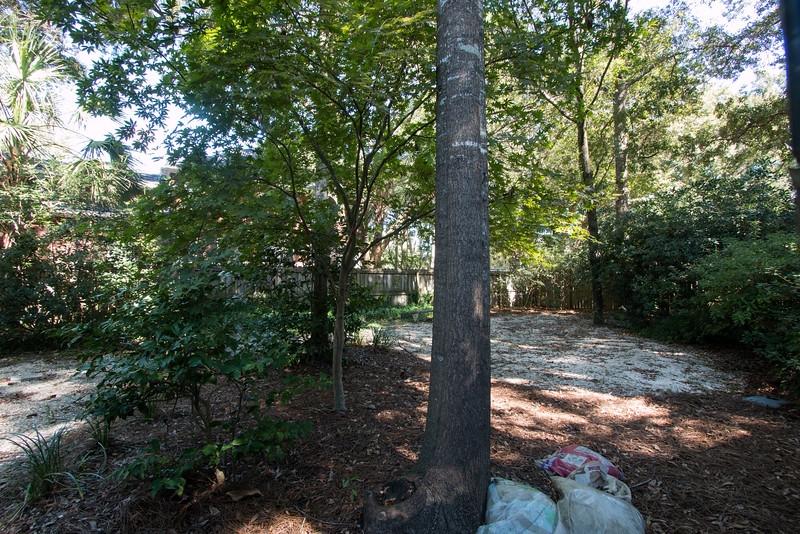 350 Sugar Cane Way Mount Pleasant, SC 29464 - Photo 23 of 24 350SugarCaneWayBackyard