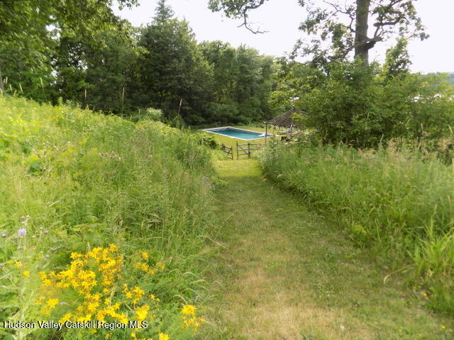 188 Mt Merino Road Hudson, NY 12534 - Photo 30 of 37 a backyard of a house with lots of green space and plants