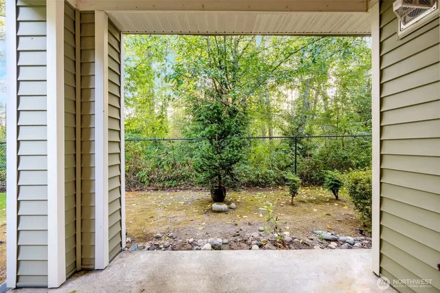 a view of a yard with potted plants and large tree