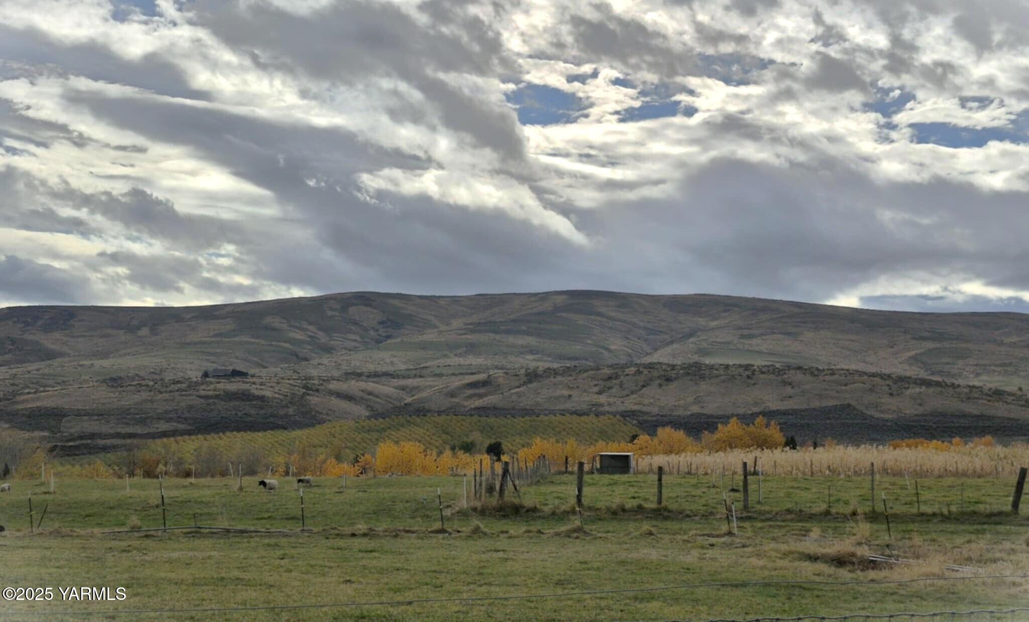 2490 Thompson Road Cowiche, WA 98923 - Photo 28 of 62 ffbfa1c9-3c46-4968-ac95-d924f7b9ec48