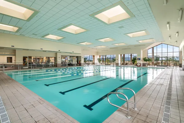 a view of a swimming pool with a garden
