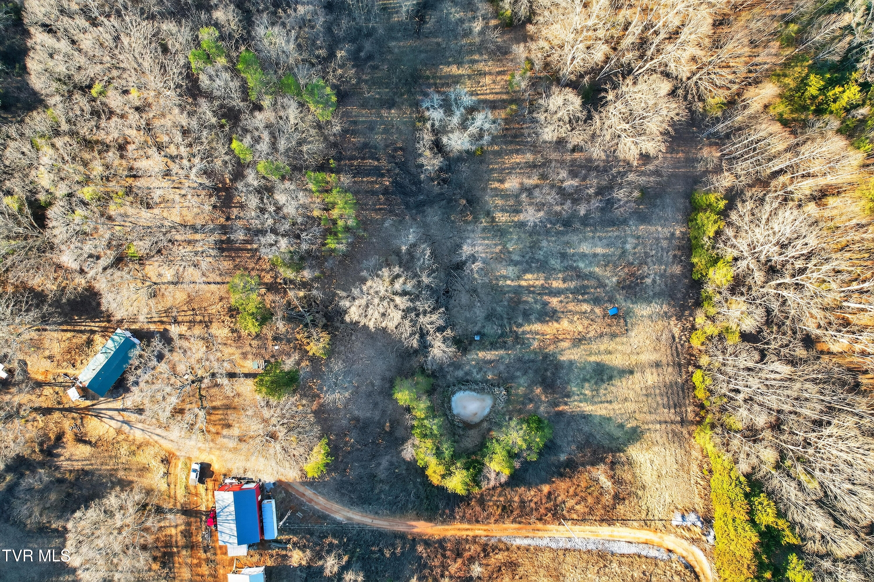 1434 Pates Hill Road, Unit 8 Mosheim, TN 37818 - Photo 6 of 9 11-1434-Pates-Hill-Rd-WindowStill