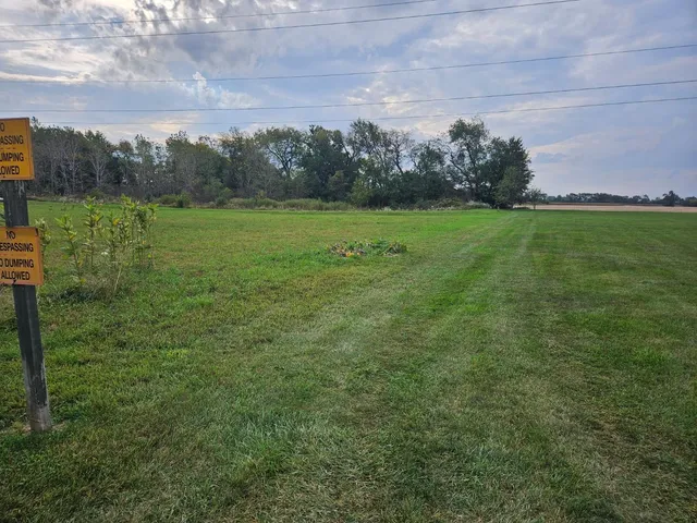 a view of a green field with trees in the background