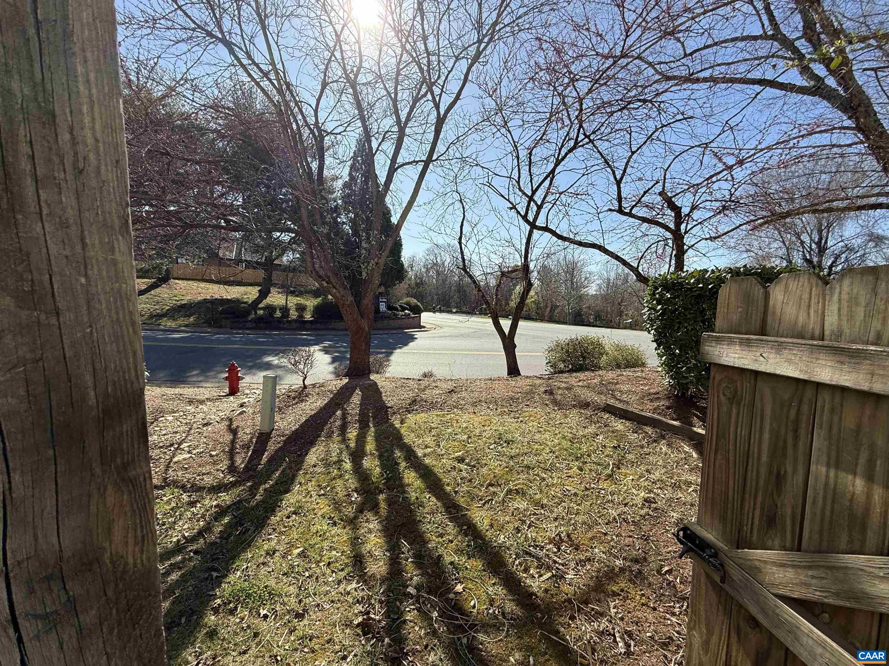 1231 Chatham Ridge Charlottesville, VA 22901 - Photo 11 of 20 Back yard