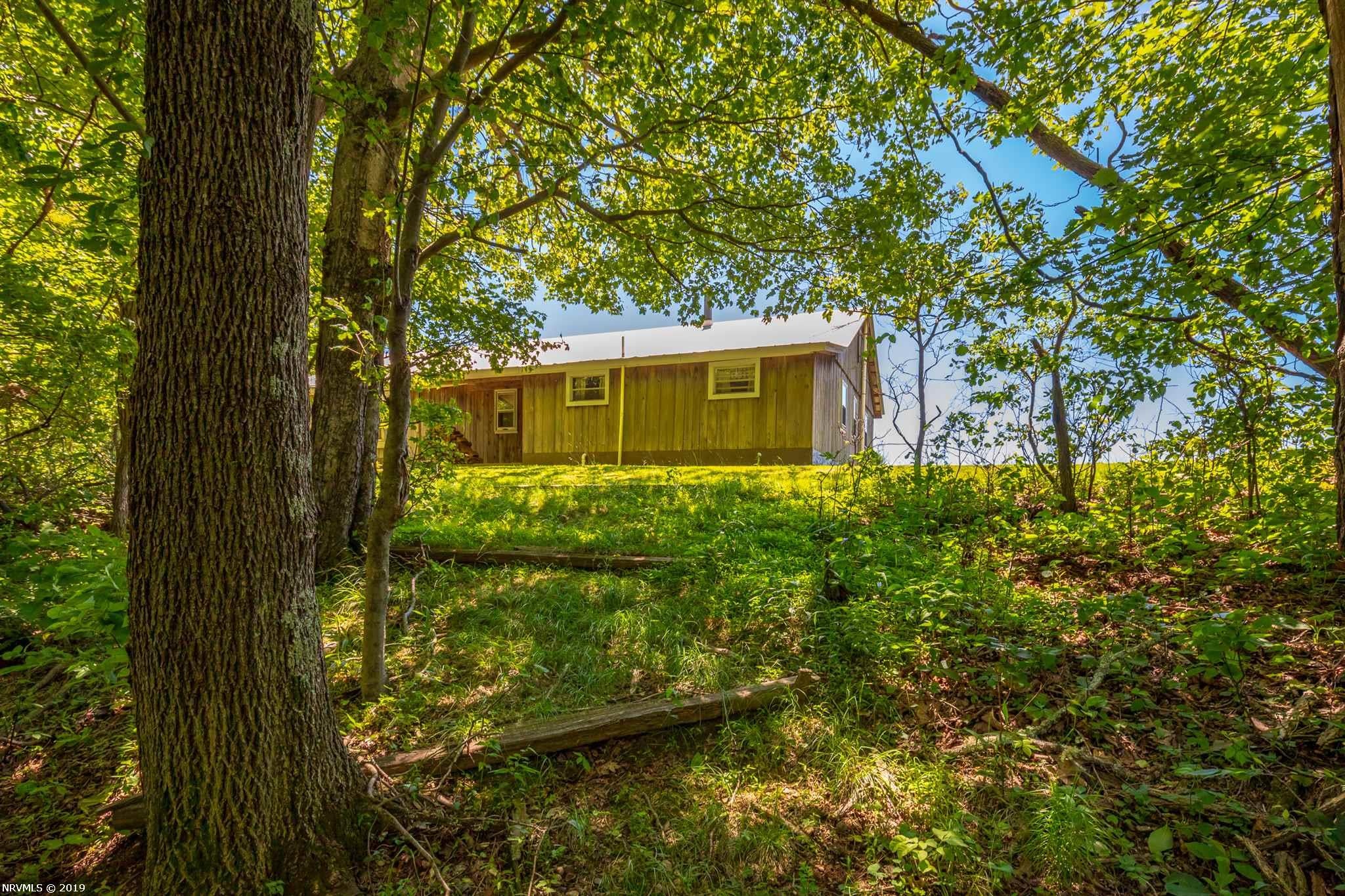 305 Newt's Hill Road Fancy Gap, VA 24328 - Photo 54 of 67 Gallery Image 54