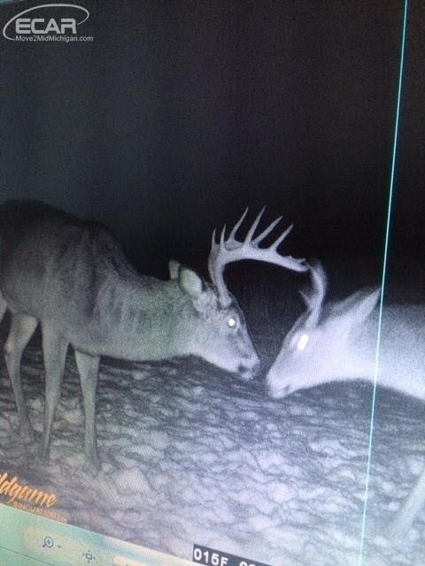 0 Nettney Capac, MI 48014 - Photo 20 of 32