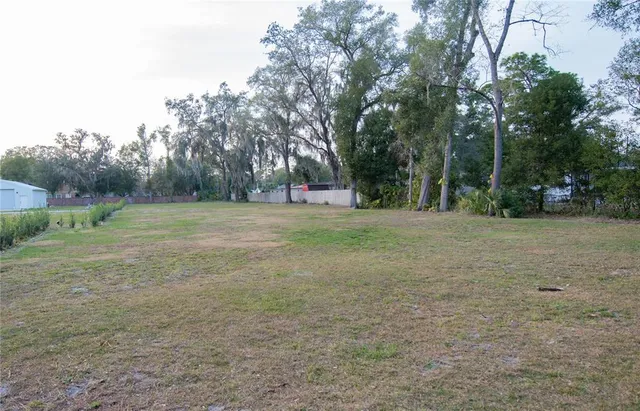 a view of outdoor space with trees all around