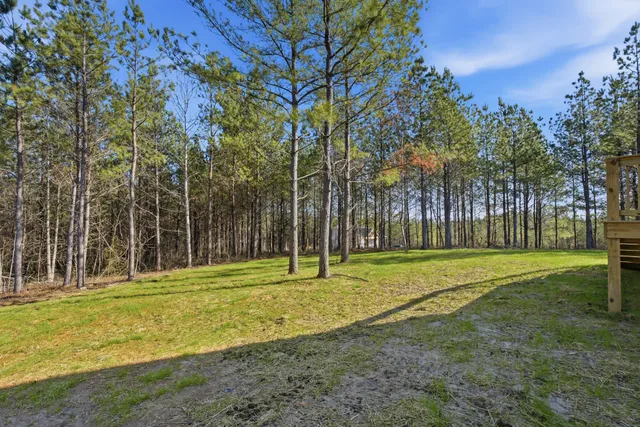 a big yard with trees in front of it