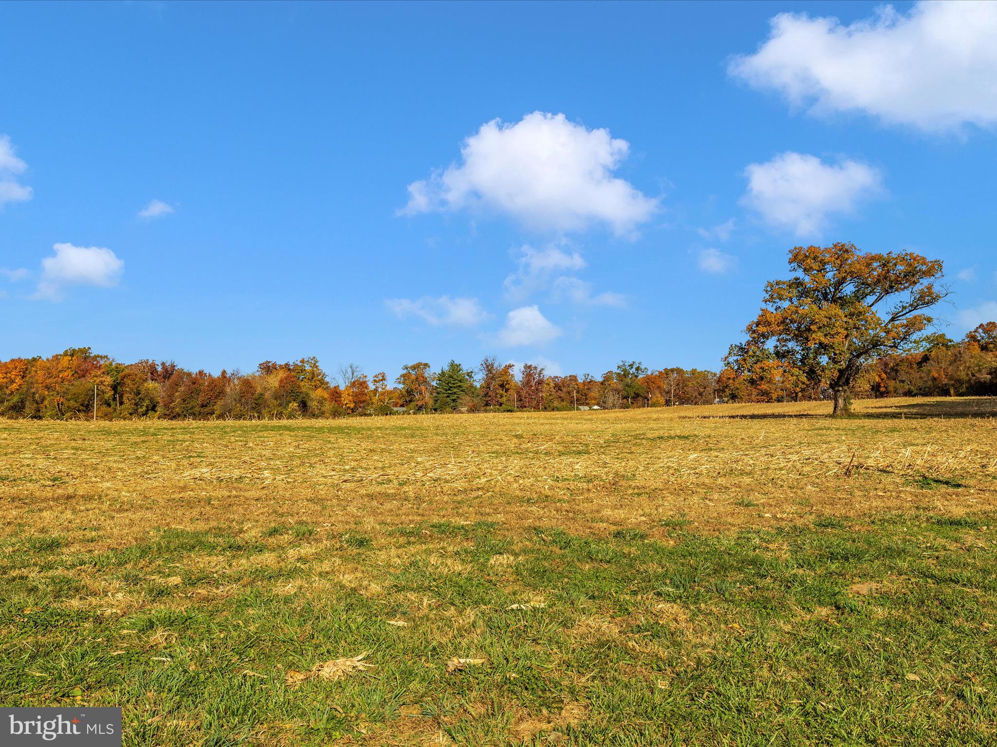 19015 Wasche Road Dickerson, MD 20842 - Photo 20 of 65 Exterior