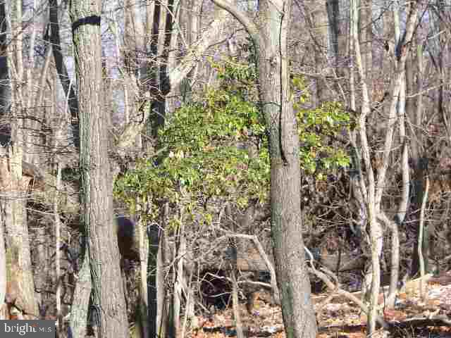 0 Furnace Road York, PA 17406 - Photo 3 of 3 Gallery Image 3