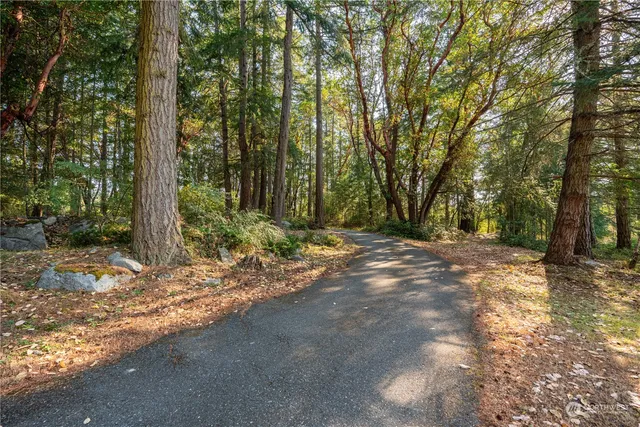 a view of outdoor space and yard