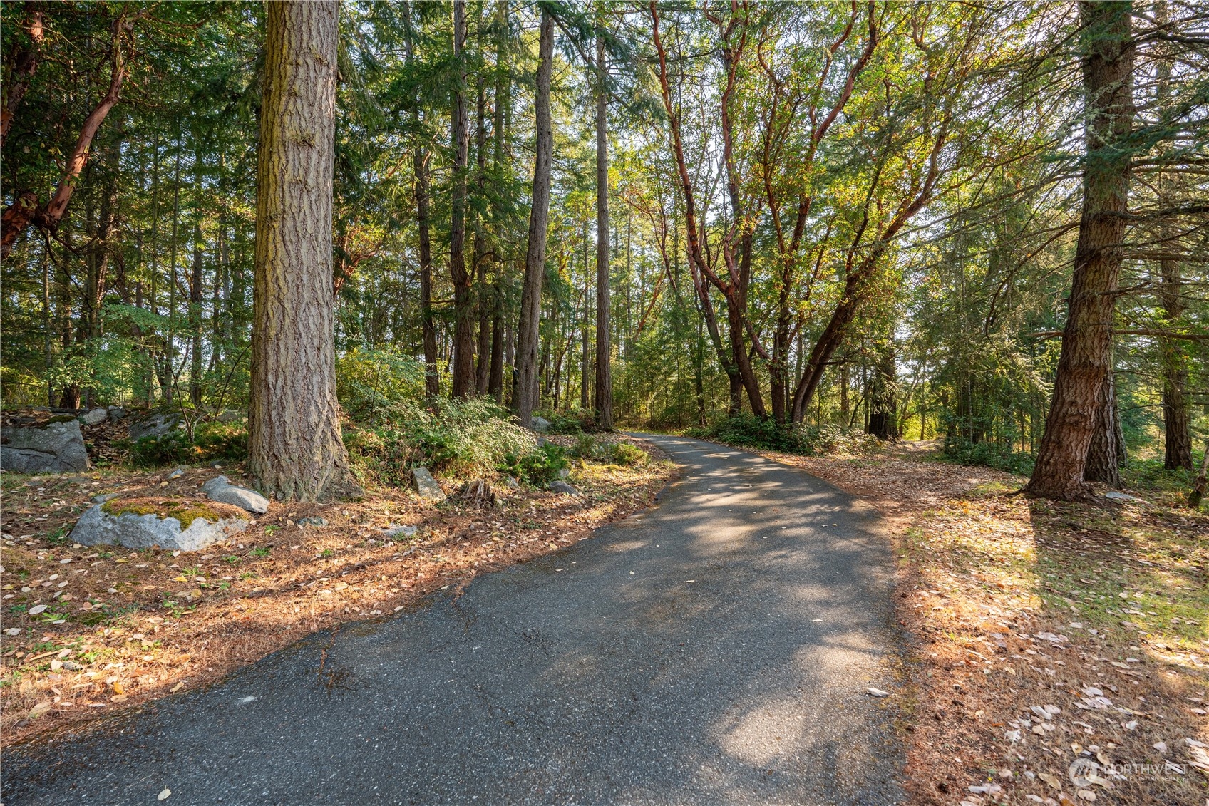 934 Mitchell Bay Road Friday Harbor, WA 98250 - Photo 31 of 40 a view of outdoor space and yard
