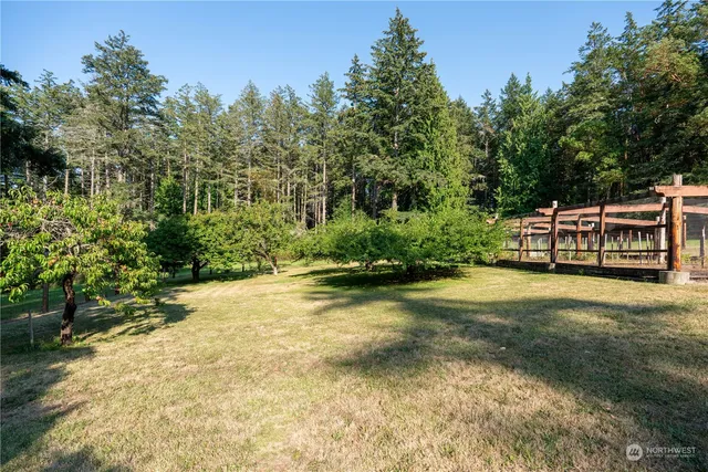 a view of a big yard with plants and large trees