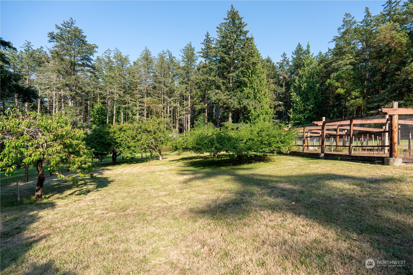 934 Mitchell Bay Road Friday Harbor, WA 98250 - Photo 37 of 40 a view of a big yard with plants and large trees