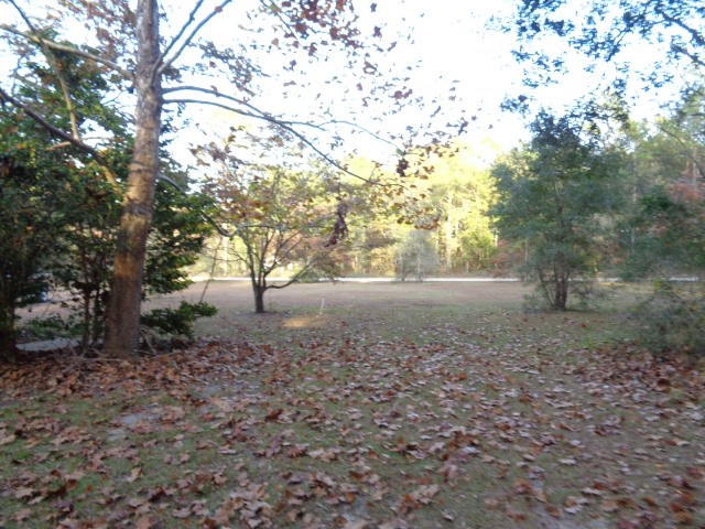 64 Rutland Road Crawfordville, FL 32327 - Photo 3 of 20 Gallery Image 3