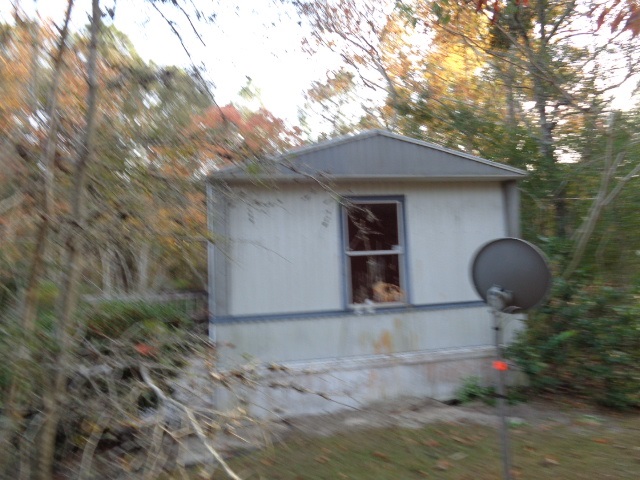 64 Rutland Road Crawfordville, FL 32327 - Photo 5 of 20 Gallery Image 5