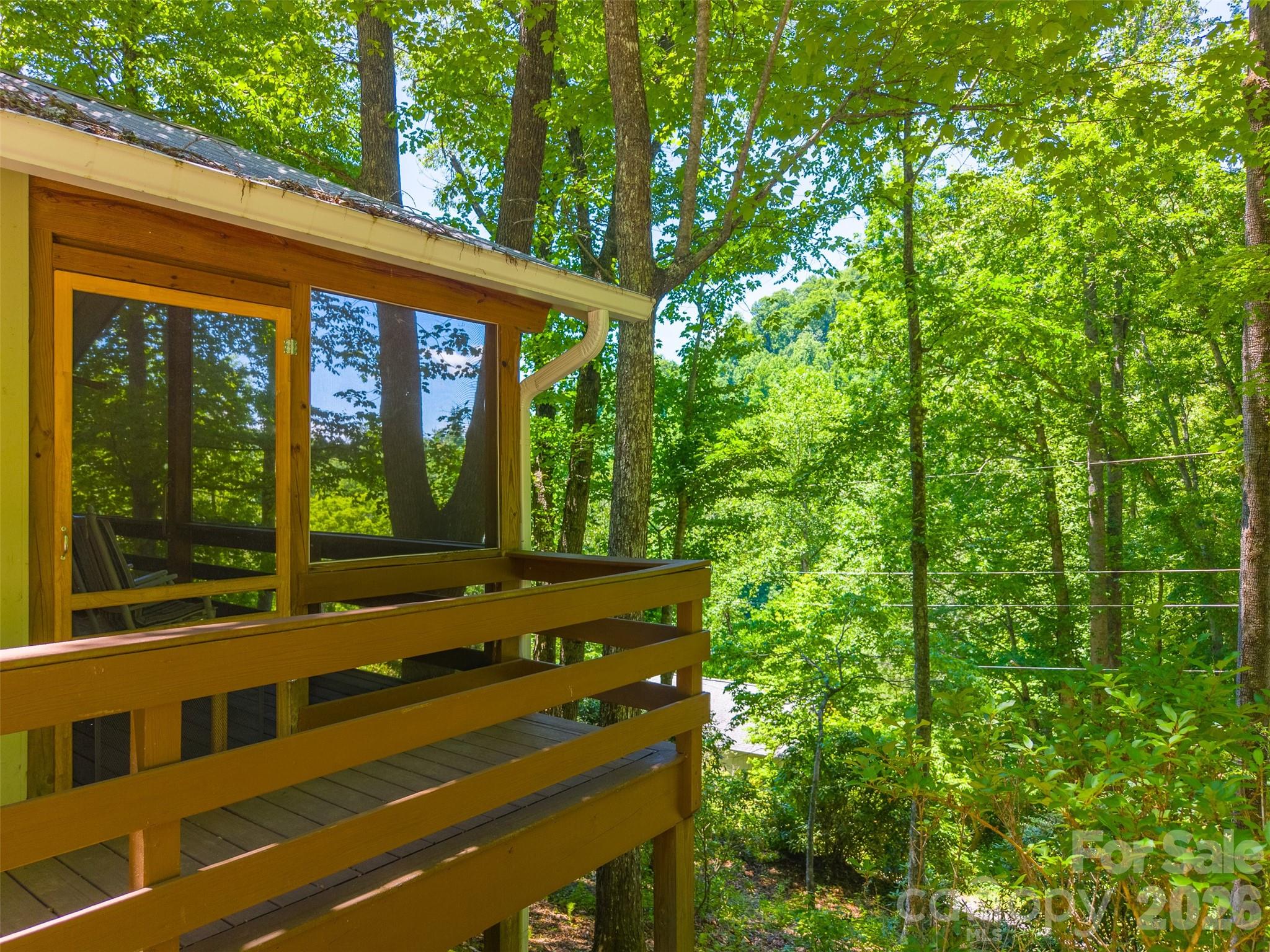 168 Grizzly Ridge Road Sylva, NC 28779 - Photo 26 of 40