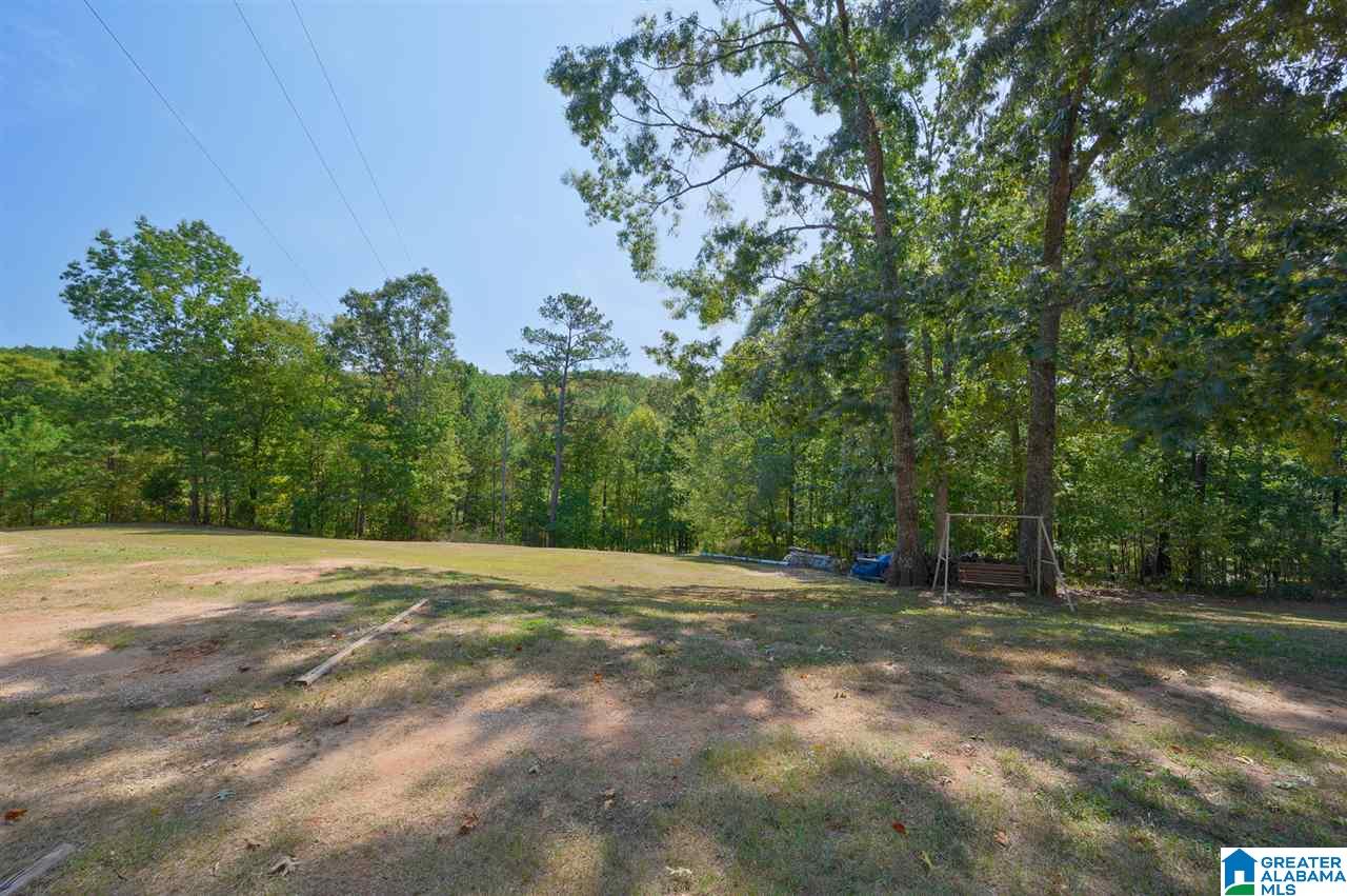 4395 Sand Valley Road Remlap, AL 35133 - Photo 2 of 24