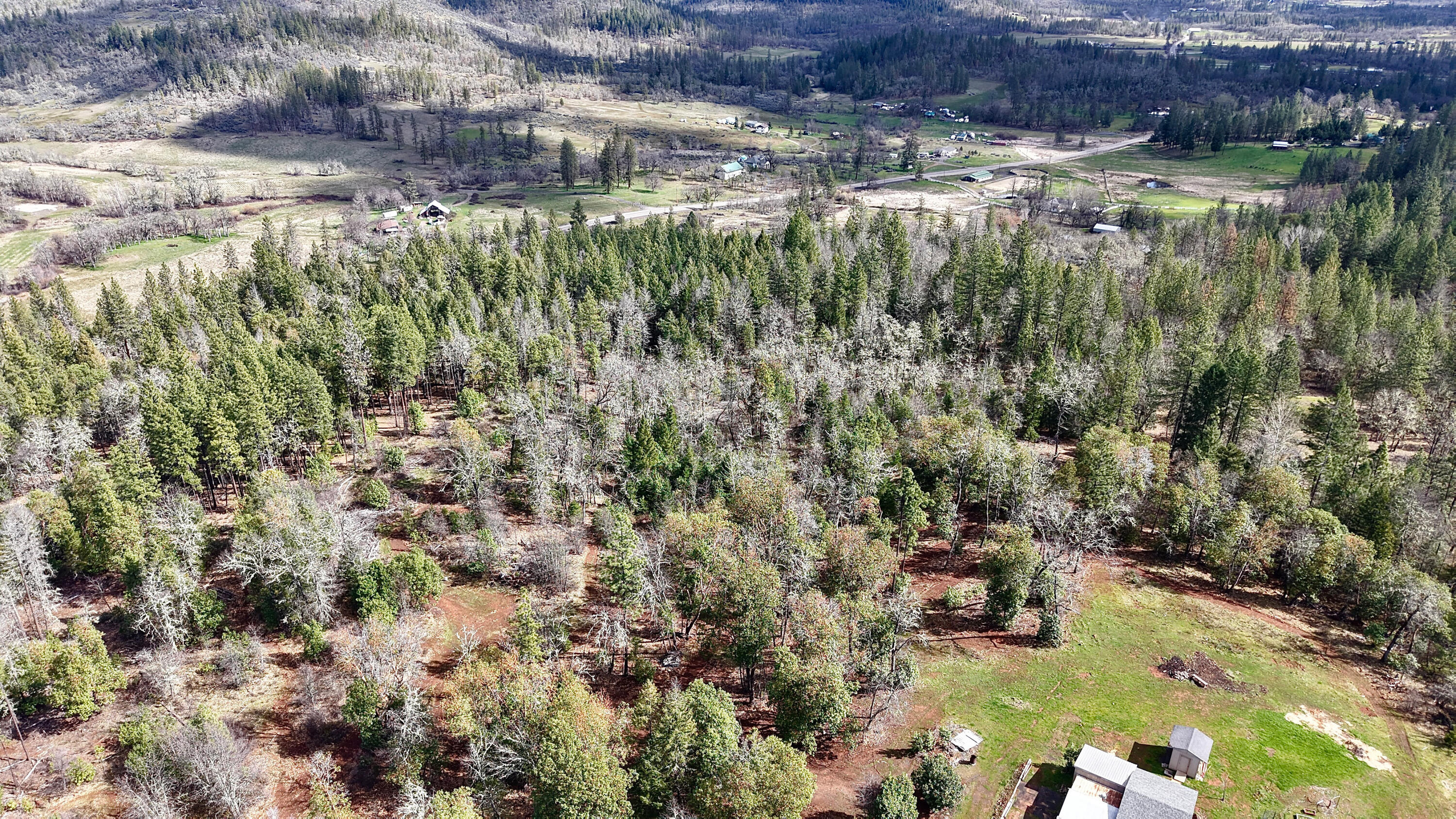 509 Derby Road Eagle Point, OR 97524 - Photo 46 of 49 Aerial