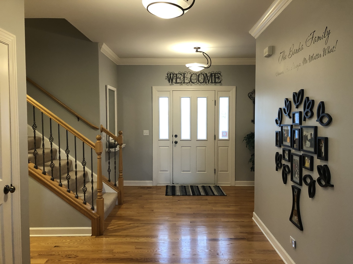 681 Greenfield Road Sugar Grove, IL 60554 - Photo 4 of 36