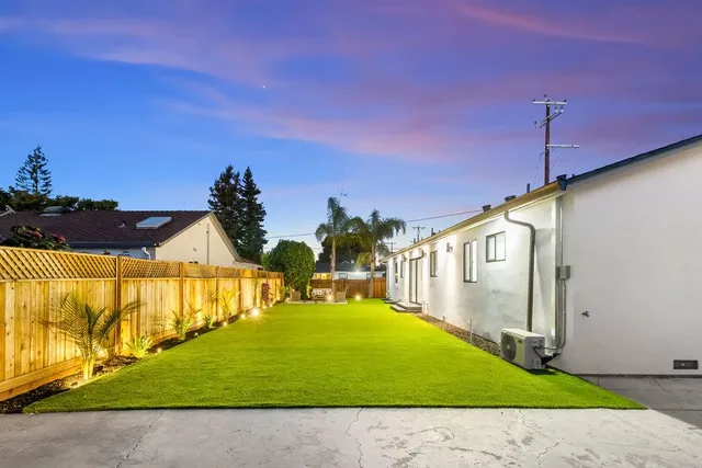 a view of a backyard with plants and a garden