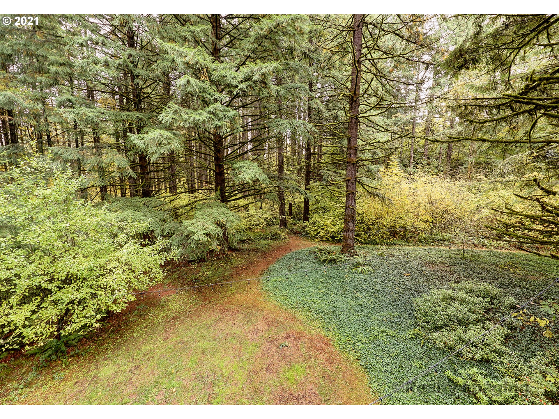 22295 Southwest Jaquith Road Newberg, OR 97132 - Photo 31 of 31 Gallery Image 31