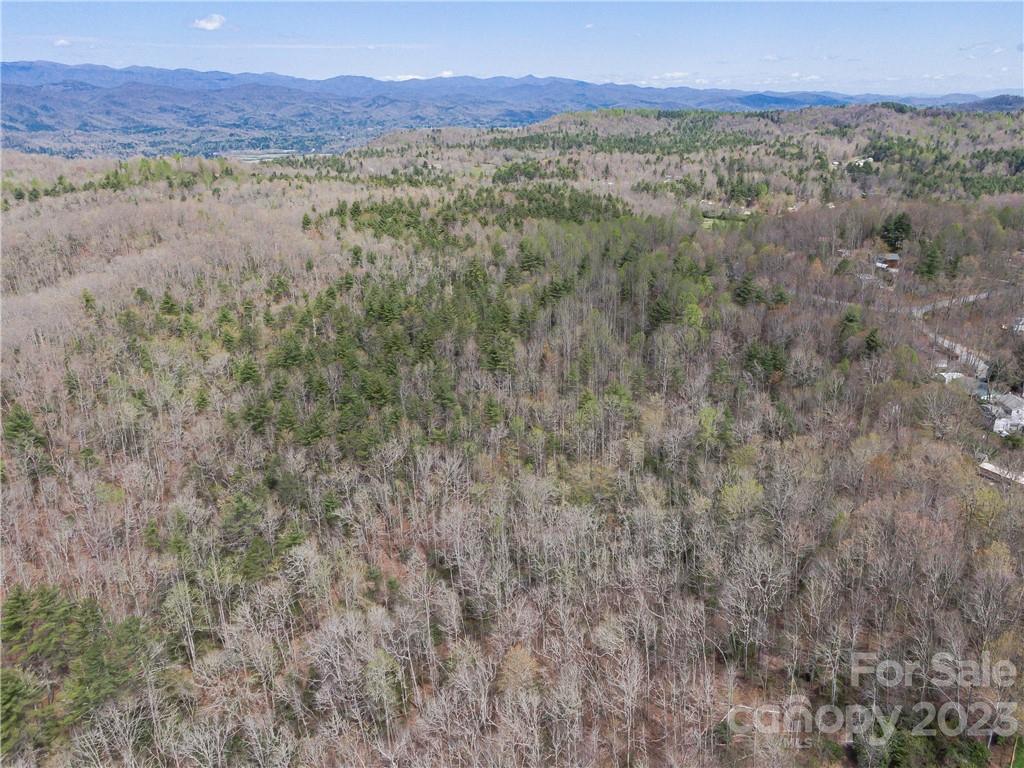861 See Off Mountain Road Brevard, NC 28712 - Photo 3 of 8 Gallery Image 3