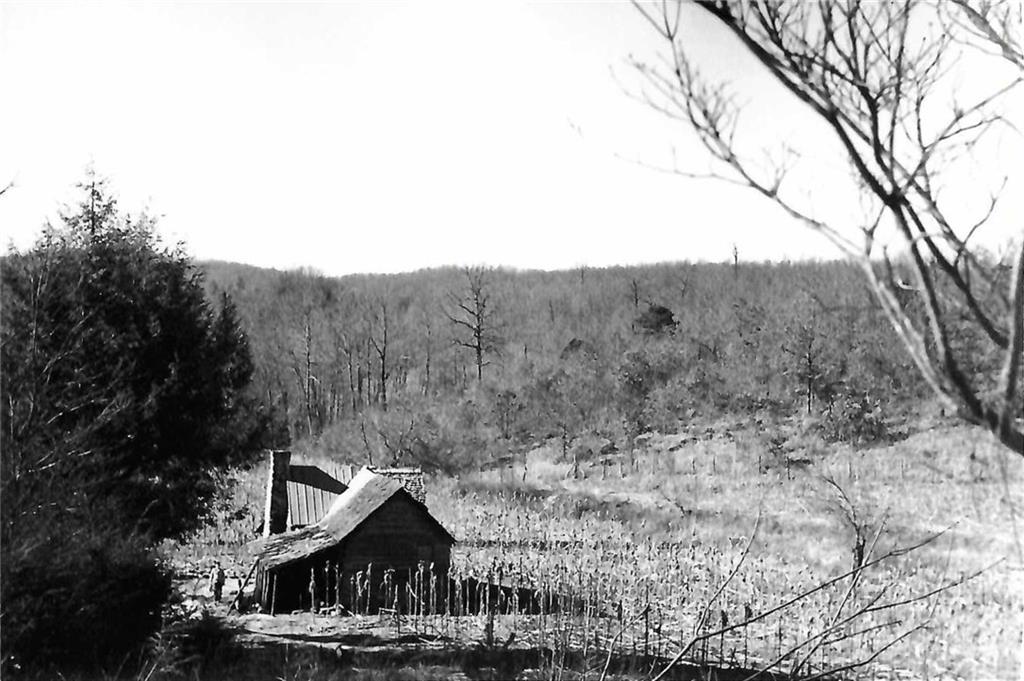 861 See Off Mountain Road Brevard, NC 28712 - Photo 8 of 8 Gallery Image 8