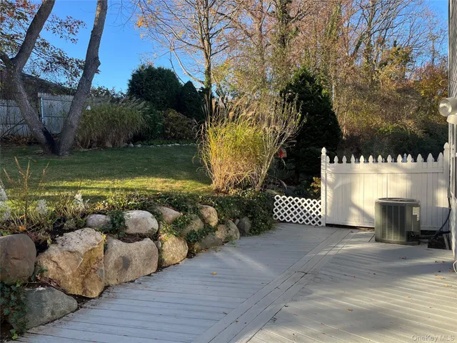 a view of a yard with plants and a bench