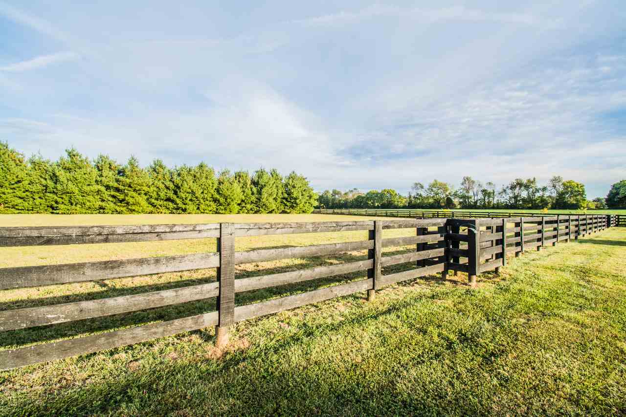 1350 Matlock Road Bowling Green, KY 42104 - Photo 9 of 35 Gallery Image 9