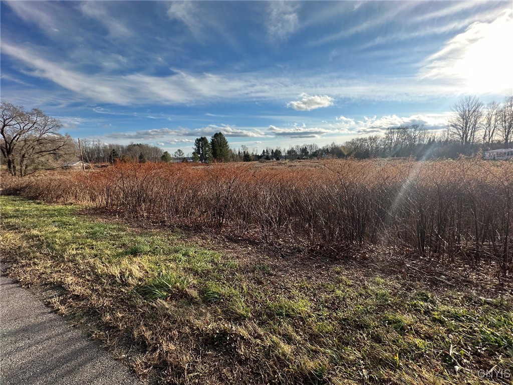 Stokes-Westernville Road Ava, NY 13303 - Photo 1 of 3