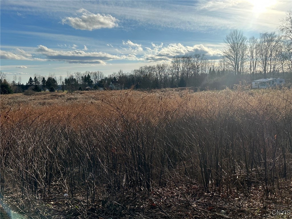 Stokes-Westernville Road Ava, NY 13303 - Photo 3 of 3