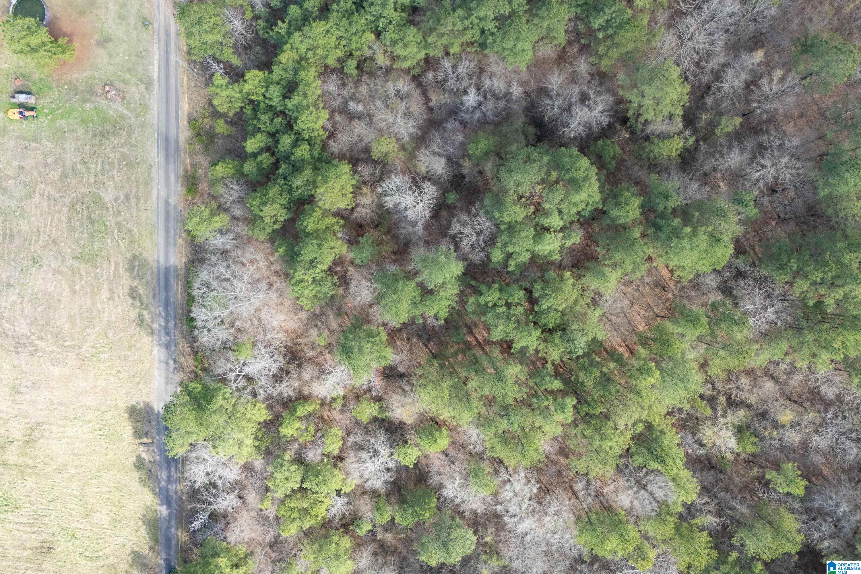 7 Fisher Phillips, Unit 7 Ashville, AL 35953 - Photo 13 of 28