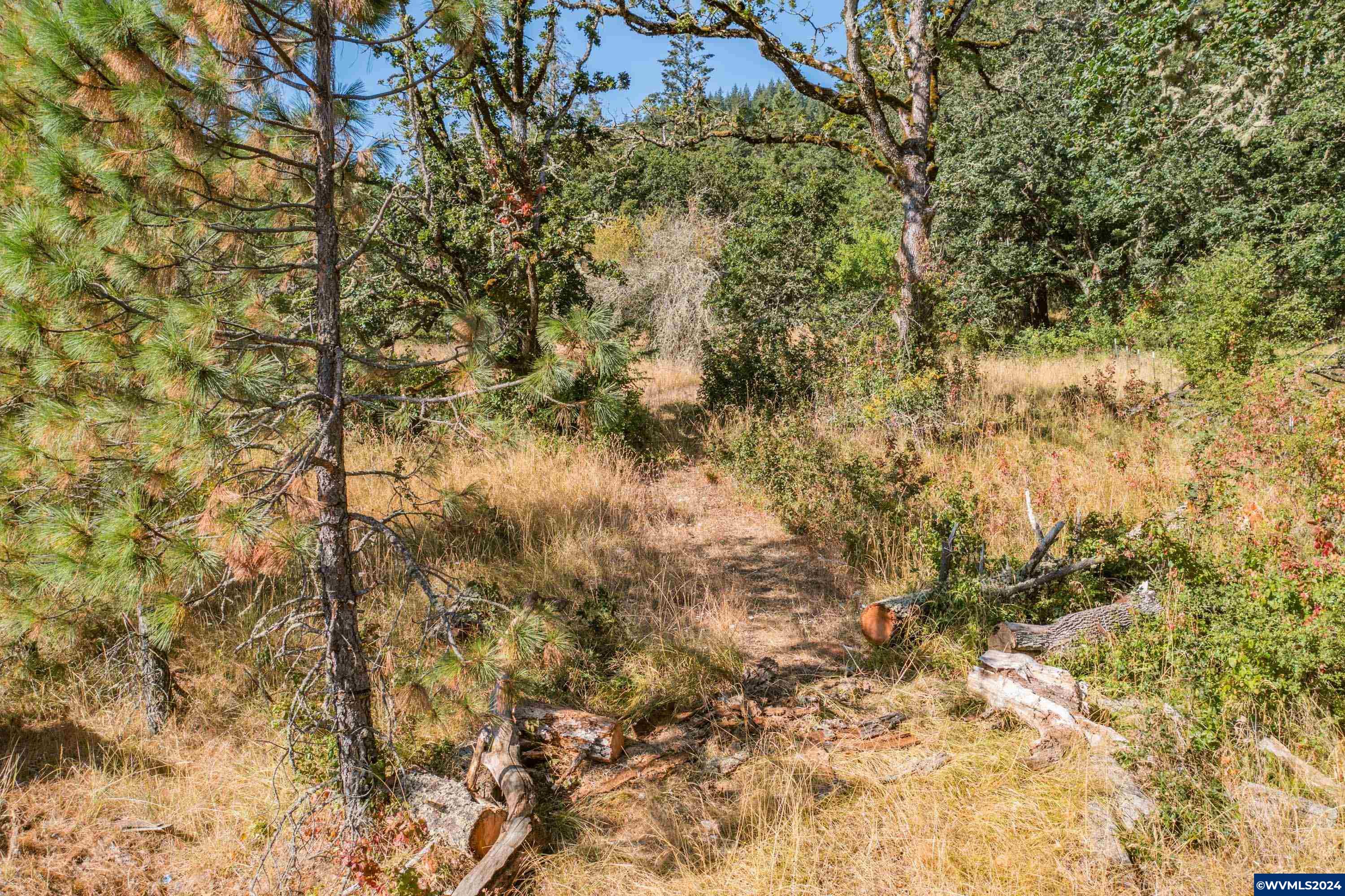 28920 Sheep Head Road Brownsville, OR 97327 - Photo 16 of 32
