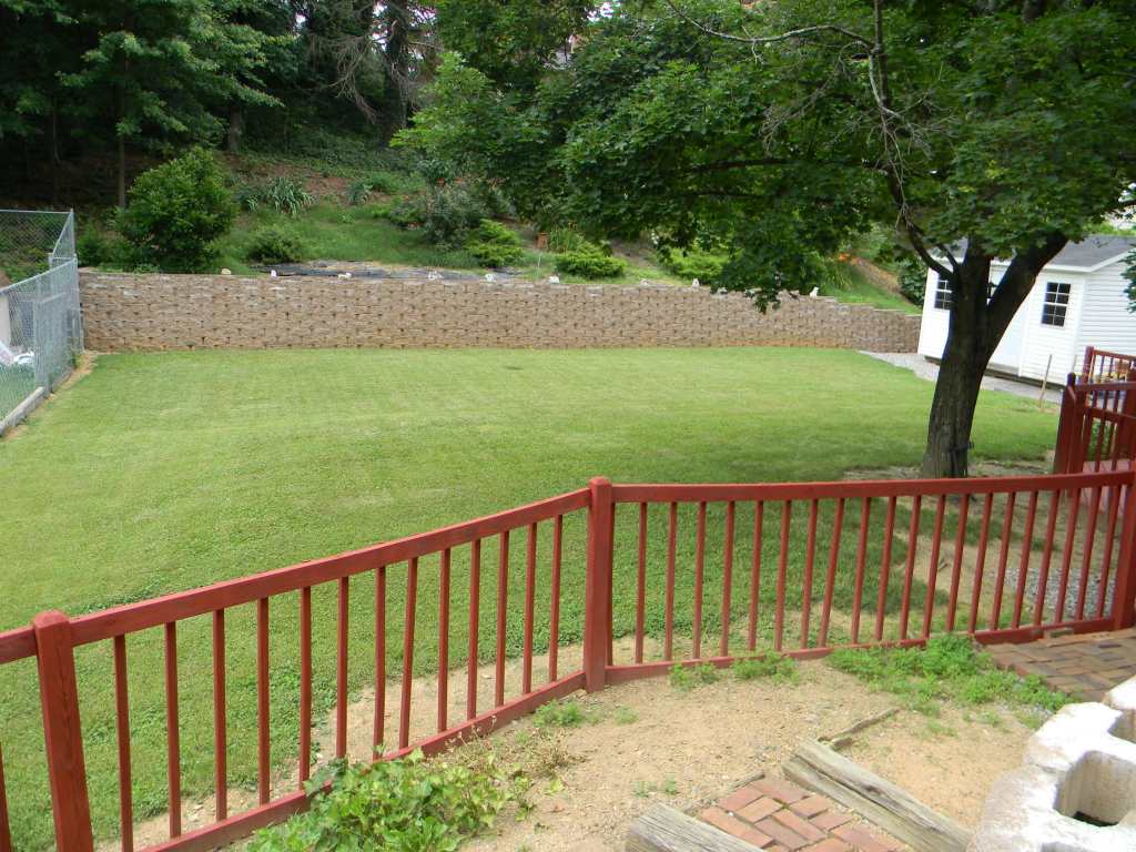 5435 Grandin Rd Extension Roanoke, VA 24018 - Photo 16 of 20 Backyard