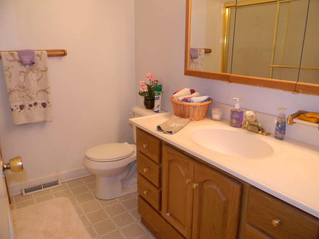 5435 Grandin Rd Extension Roanoke, VA 24018 - Photo 5 of 20 Hall Bath