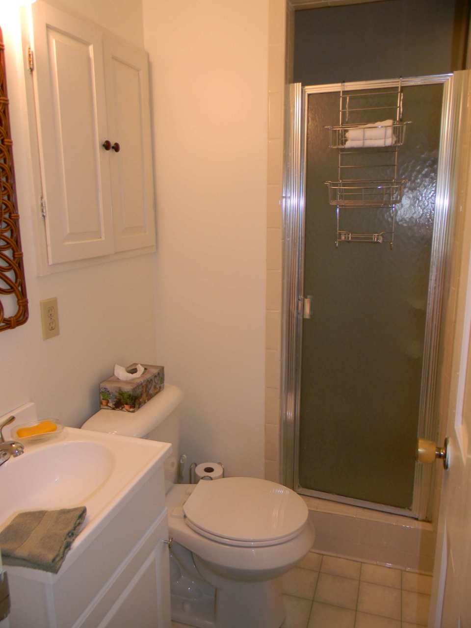 5435 Grandin Rd Extension Roanoke, VA 24018 - Photo 9 of 20 MBR Bath