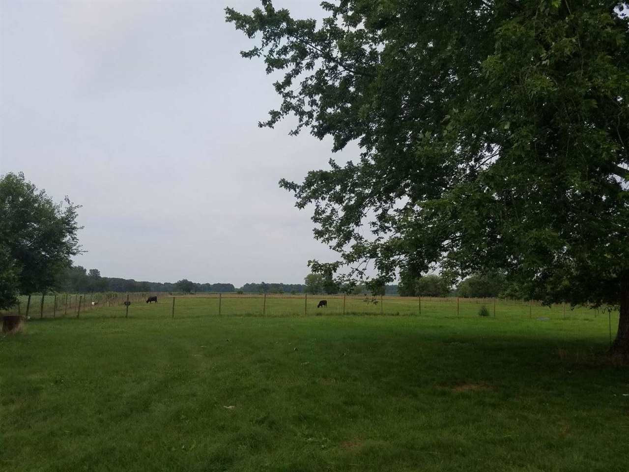 7813 Napoleon Road Jackson, MI 49201 - Photo 21 of 24 Photo 21