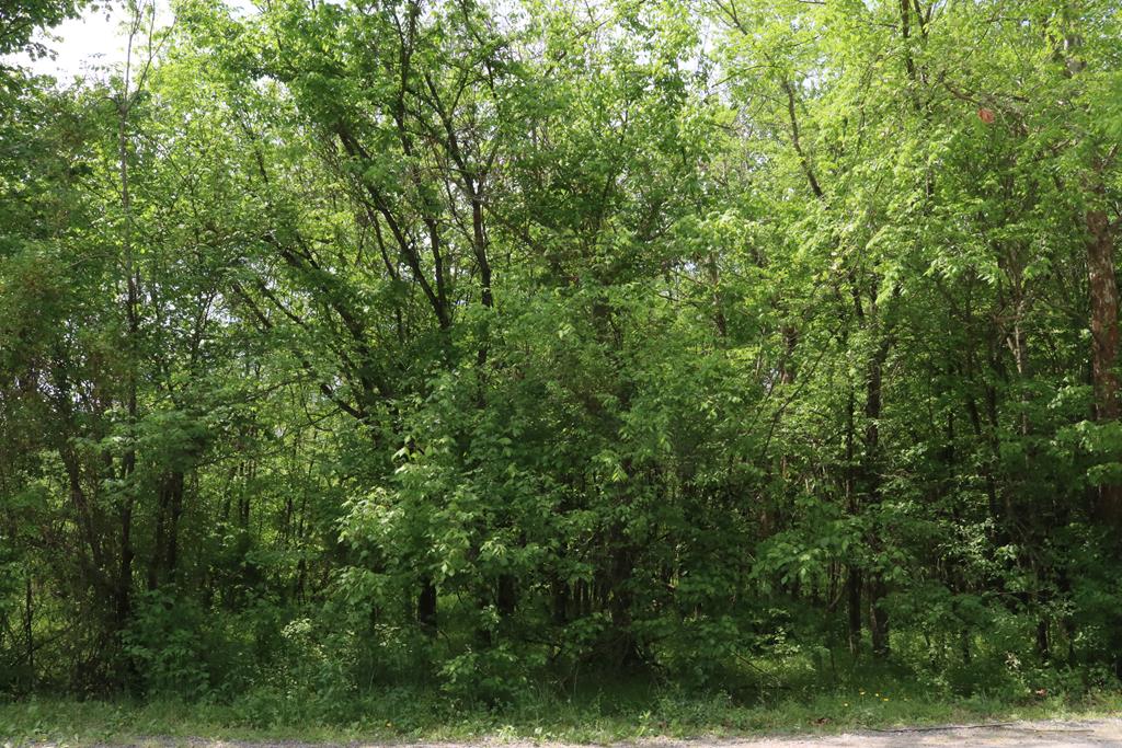 600 River Road, Unit 4 Farmville, VA 23901 - Photo 1 of 16 Gallery Image 1