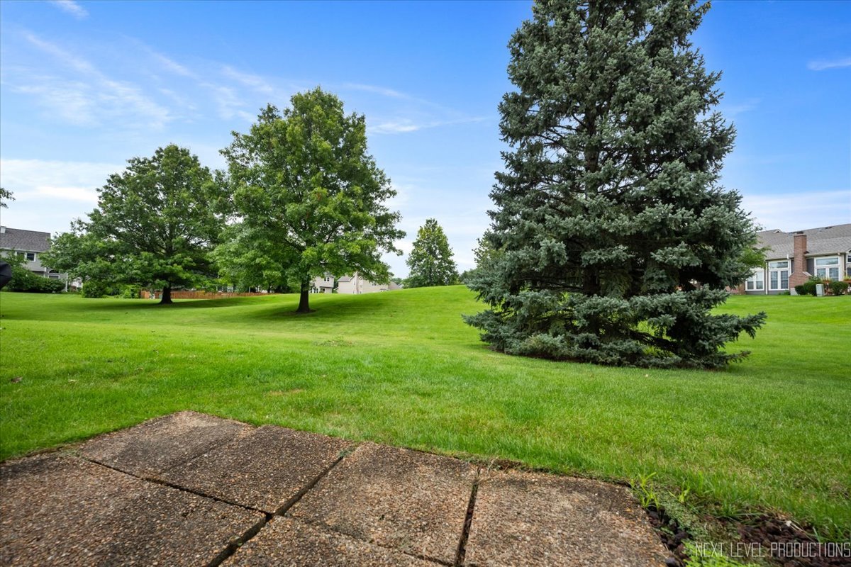 1257 Rhodes Lane Naperville, IL 60540 - Photo 8 of 24 a view of grassy field with benches in background