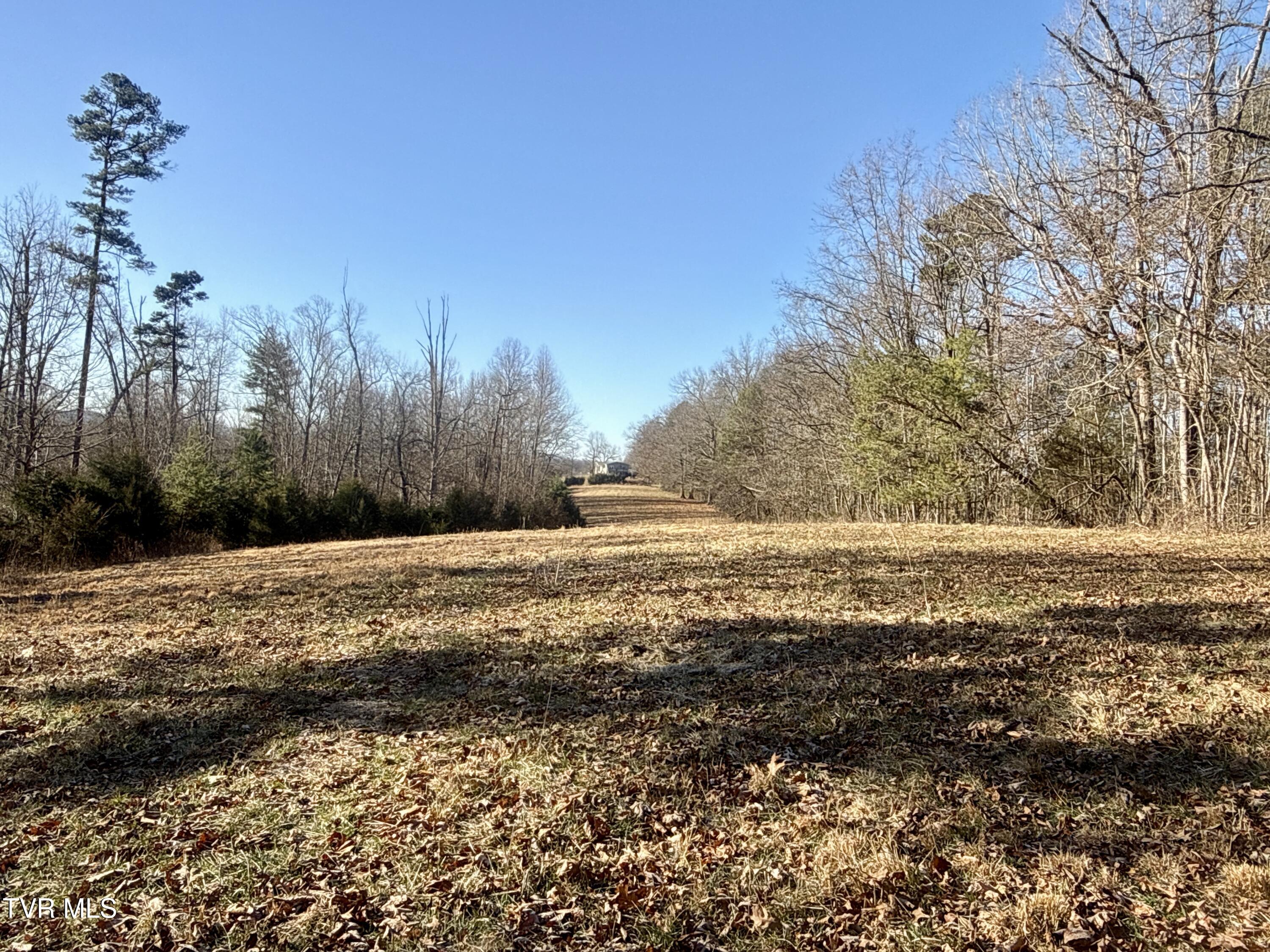 6181 Poplar Springs Road, Unit 1 Greeneville, TN 37743 - Photo 63 of 103 063
