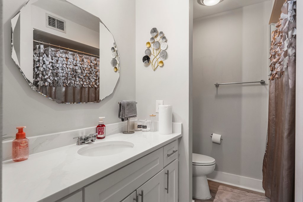 2525 Norris Road, Unit 38 Columbus, GA 31907 - Photo 17 of 27 a bathroom with a sink mirror vanity and toilet